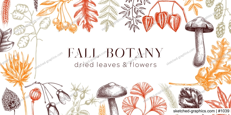 Autumn background with fall leaves and dried flowers. Thanksgiving frame design. Fall backdrop in sketched style. Dried herbs, falling leaves, mushrooms, seeds banner. Botanical illustration. 