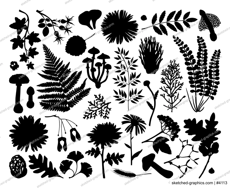 Autumn plant black silhouettes set. hand-drawn vector illustration. Botanical design elements for packaging, wrapping paper, wallpaper, fabric, fashion. Abstract drawings in color.