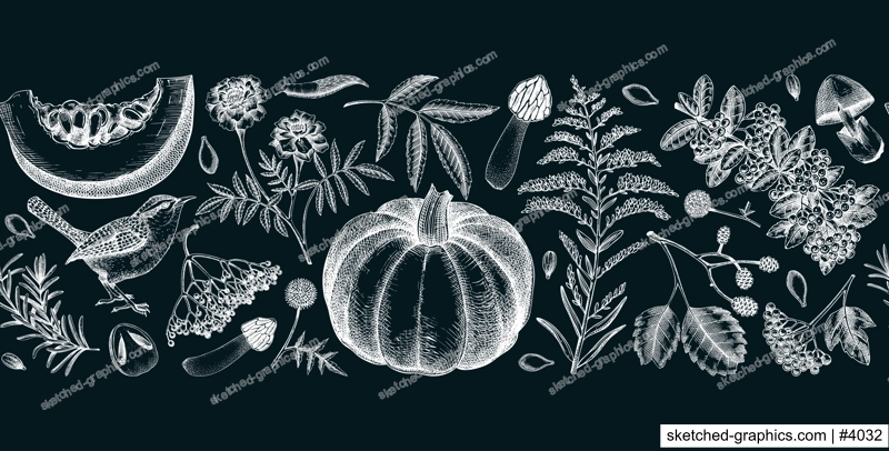 Warm autumn ribbon in sketch style. Fall leaves, pumpkins, berries, mushrooms  hand-drawn vector illustrations on chalkboard. Thanksgiving seamless pattern. NOT AI generated