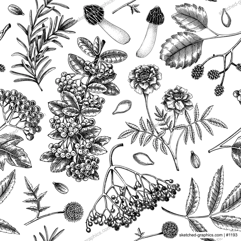 Vintage autumn seamless pattern. Thanksgiving background. Fall leaves, pumpkins, berries, mushrooms sketches. Hand-drawn vector illustration. NOT AI generated