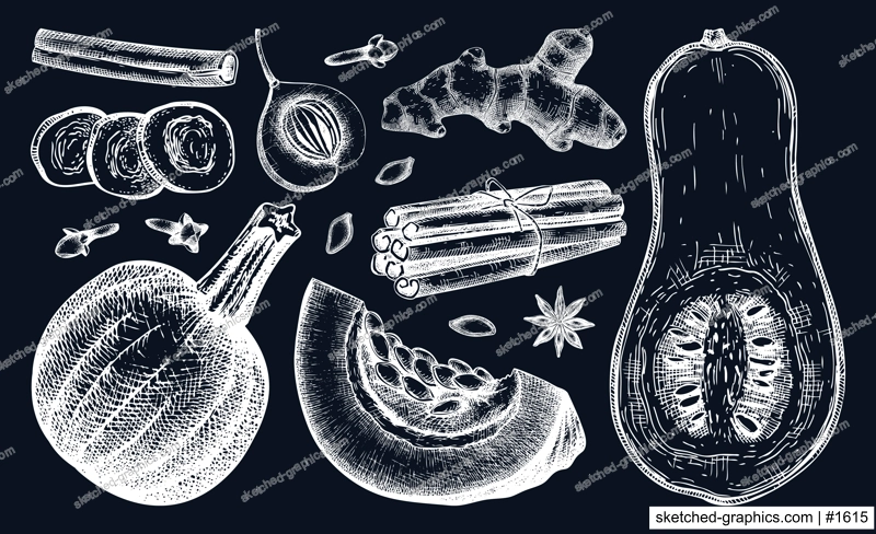 Autumn food collection on chalkboard. Pumpkin spices sketches. Pumpkin cake ingredients set. Anise star, ginger, cinnamon, nutmeg, cloves drawings black and white. Traditional fall food illustration