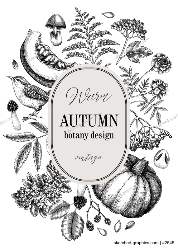 Vintage autumn card design. Thanksgiving background. Fall leaves, pumpkins, berries, mushrooms sketches. Hand-drawn vector illustration. NOT AI generated