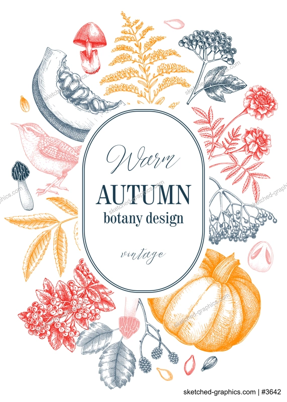 Vintage autumn card design. Thanksgiving background. Fall leaves, pumpkins, berries, mushrooms sketches. Hand-drawn vector illustration. NOT AI generated