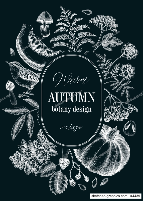 Vintage autumn card design. Thanksgiving background. Fall leaves, pumpkins, berries, mushrooms sketches on chalkboard. Hand-drawn vector illustration. NOT AI generated