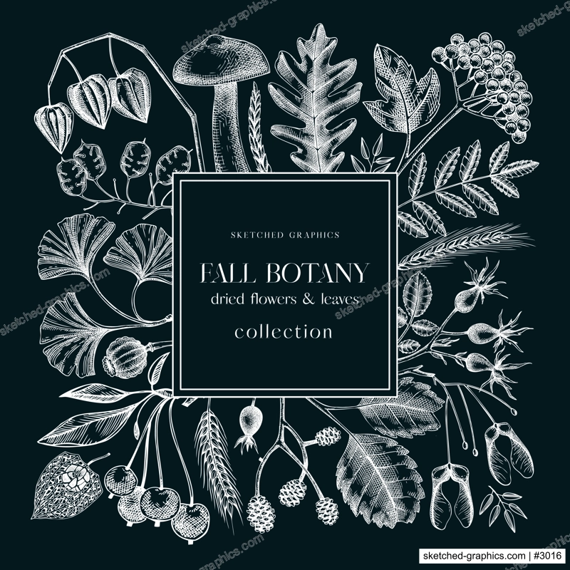 Autumn wreath with fall leaves and dried flowers. Thanksgiving banner design. Fall card or invitation. Sketched dried herbs, falling leaves, mushrooms, seeds frame. Black and white illustration