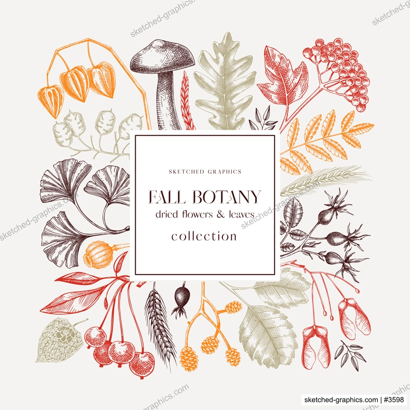 Autumn wreath with fall leaves and dried flowers. Thanksgiving banner design. Fall card or invitation. Sketched dried herbs, falling leaves, mushrooms, seeds frame. Colorful botanical  illustration