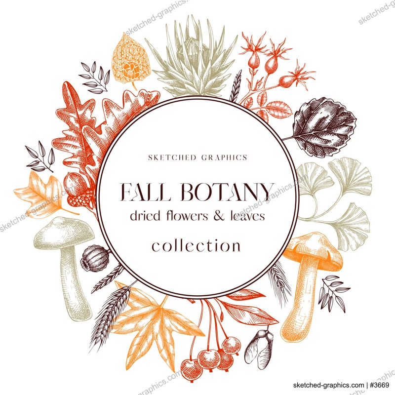 Autumn wreath with fall leaves and dried flowers. Thanksgiving banner design. Fall backdrop in sketched style. Dried herbs, falling leaves, mushrooms, seeds frame. Autumn card or invitation
