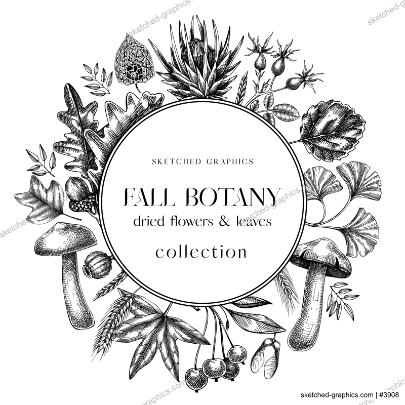 Autumn wreath with fall leaves and dried flowers. Thanksgiving banner design. Fall card or invitation.. Sketched dried herbs, falling leaves, mushrooms, seeds frame. Black and white illustration. 