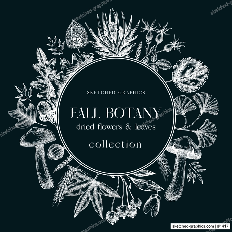 Autumn wreath with fall leaves and dried flowers. Thanksgiving banner design. Card or invitation on chalkboard. Sketched dried herbs, falling leaves, mushrooms, seeds. Black and white illustration. 