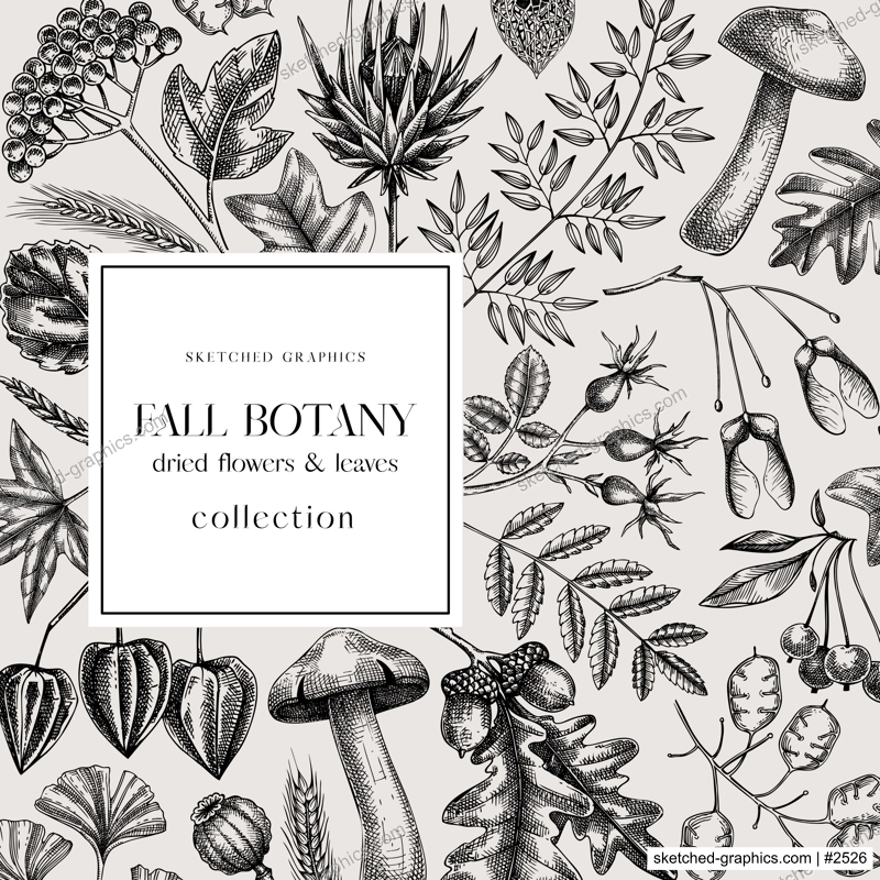 Autumn card or invitation. Thanksgiving banner design. Fall wreath with fall leaves and dried flowers. Sketched dried herbs, falling leaves, mushrooms, seeds. Black and white illustration