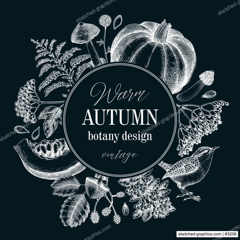 Vintage autumn wreath design. Thanksgiving background. Fall leaves, pumpkins, berries, mushrooms sketches on chalkboard. Hand-drawn vector illustration. NOT AI generated