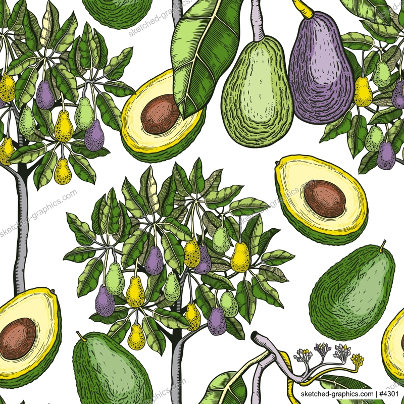 Green avocado tree design. Flat fruit branches, flowers, whole avocado, cut half piece in colors. Seamless healthy food pattern. Vector plant illustration isolated on white background