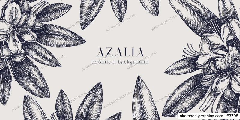 Floral background. Vector frame with hand drawn azalea sketches. Vintage design with rhododendron flowers and leaves. Evergreen plants botanical illustration for banner, postcards, web