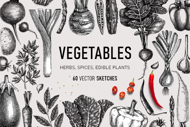 Vegetables and kitchen herbs sketches. Vector food illustrations collection.