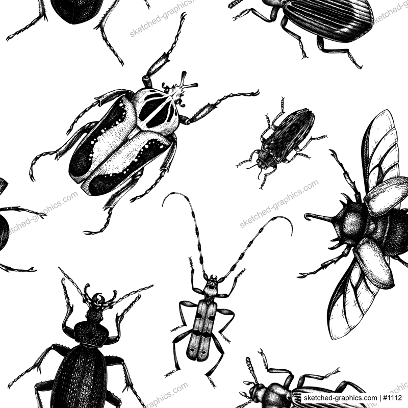 Vector backdrop with high detailed insects sketches. Hand drawn beetles illustrations in vintage style. Entomological seamless pattern. Beetles outlines background