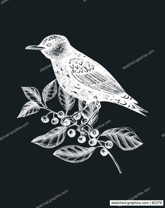 Hand-sketched bird with autumn flowers illustration on chalkboard. Fall design with birds, florals, geometric shapes, and abstract elements. Can be used for print, poster, wall art, social media