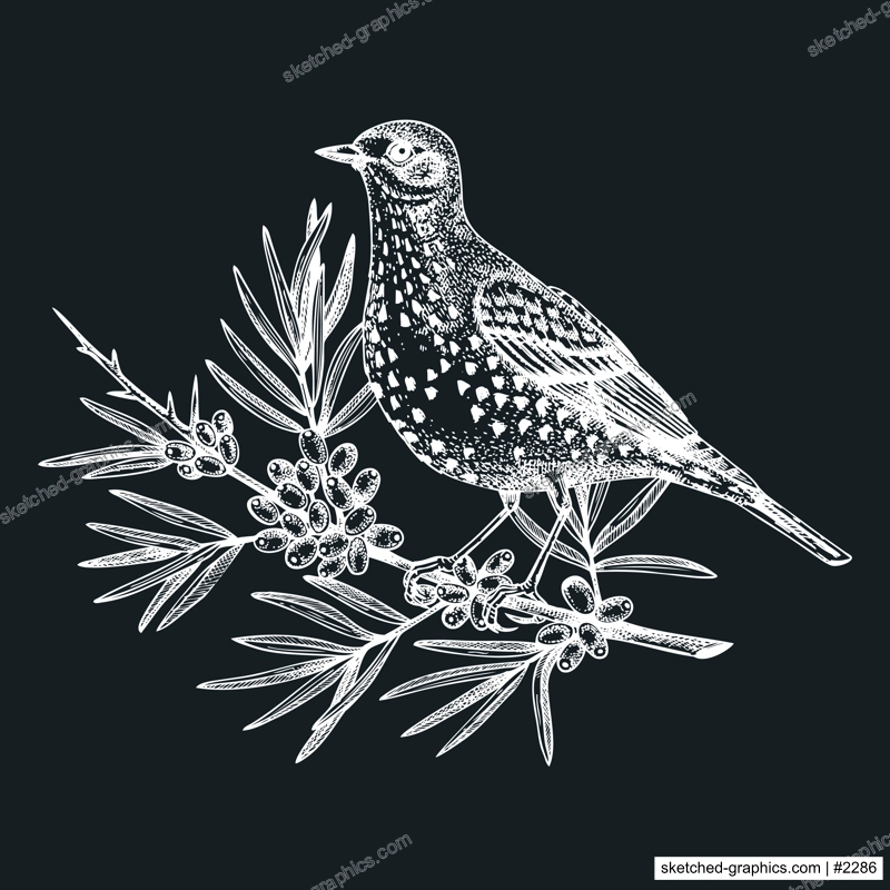 Hand-sketched bird with autumn flowers illustration on chalkboard. Fall design with birds, florals, geometric shapes, and abstract elements. Can be used for print, poster, wall art, social media