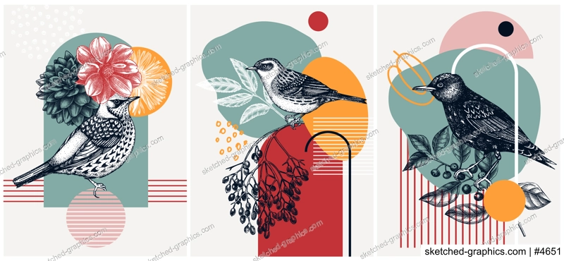Collage-style bird cards set. Sketched birds trendy poster collection. Creative designs with botanical illustrations, geometric shapes, and abstract elements for nature print, wall art, packaging. 