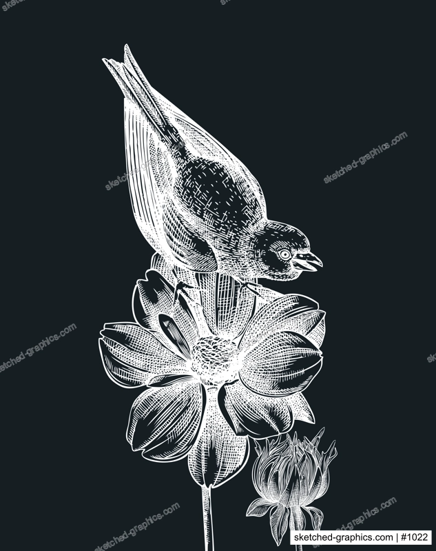 Hand-sketched bird with autumn flowers illustration on chalkboard. Fall design with birds, florals, geometric shapes, and abstract elements. Can be used for print, poster, wall art, social media
