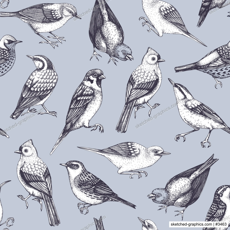 Hand drawn birds seamless pattern in engraved style. Backyard songbirds - eyebrowed thrush, titmouse, sparrow, great tit vector background. Detailed wildlife texture