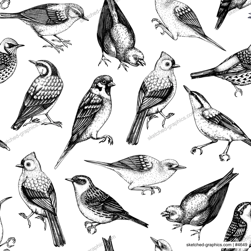Hand drawn birds seamless pattern in engraved style. Backyard songbirds - eyebrowed thrush, titmouse, sparrow, great tit vector background. Detailed wildlife texture