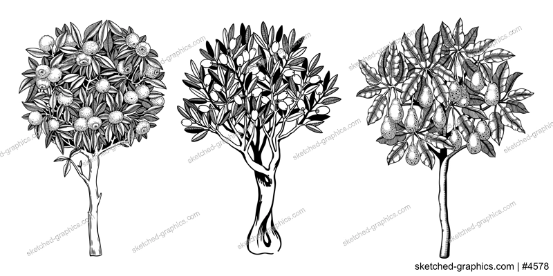 Sketched trees set with decorative fruit, leaves and branches in engraving style. Hand-drawn yuzu, avocado and olive illustrations collection. Botanical drawings collection.