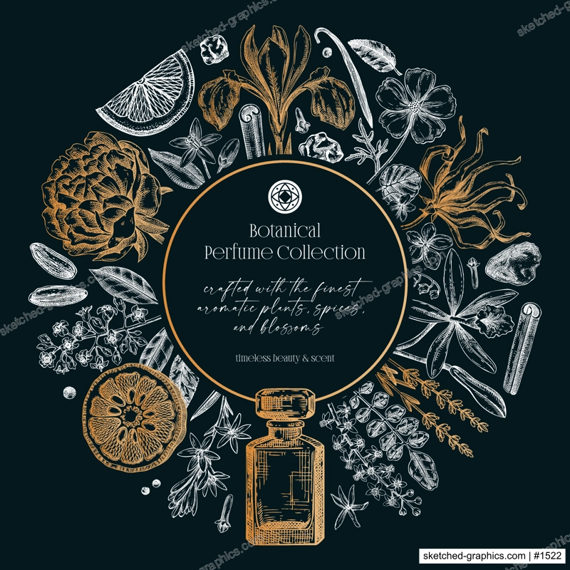 Sketch style botanical gift card template. Vintage perfume and cosmetic frame design. Hand-drawn vector illustration. Aromatic plants and flower sketches. NOT AI generated