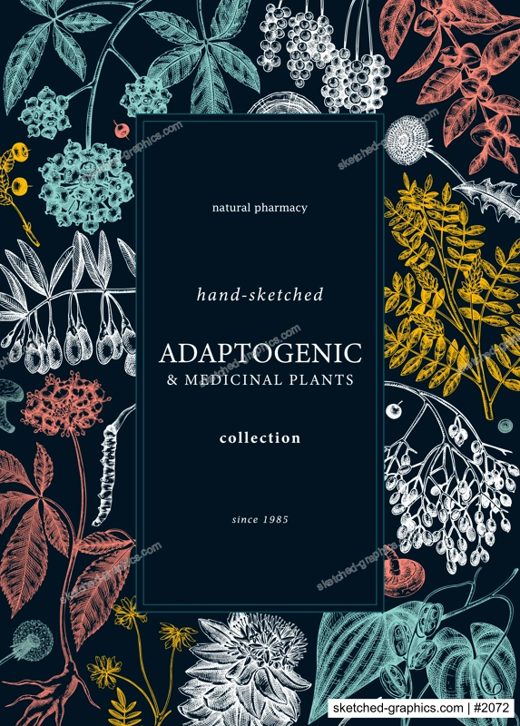 Botanical card design with hand-sketched adaptogenic and medicinal  herbs, weeds, berries, leaves. Adaptogenic plants vector illustration on . Perfect for label, packaging, banner.