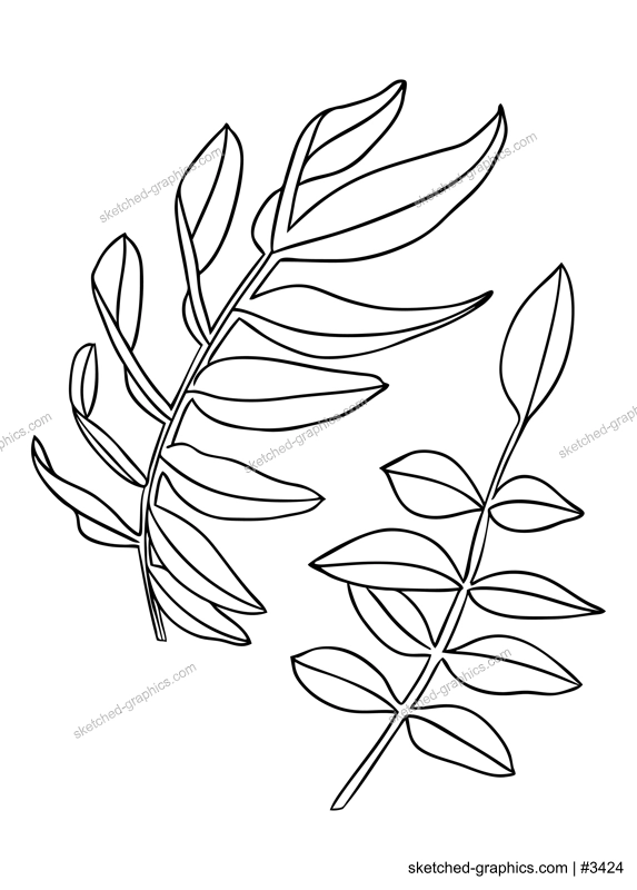 Elegant leaves illustrations. Botanical line art drawings. Hand-drawn garden plants foliage. Florals for a wedding decor, greeting cards and invitations 