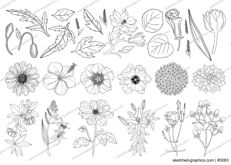Collection set of botanical design elements: flowers, leaves, buds, branches drawings. Botanical line art illustrations collection. Perfect for logo, brands, invitation and card design.