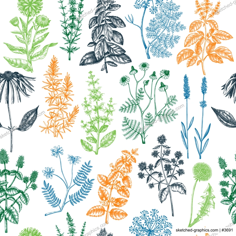 Seamless botanical pattern with wild flowers. Floral background with medicinal herbs. Engraved style hand drawn herbal plants backdrop. Floral vector illustration.  Endless texture design.