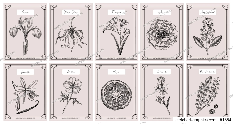 Vector set of botanical perfumery and cosmetic product label templates. Vintage hand-drawn illustration. Vintage style perfume designs. NOT AI generated 