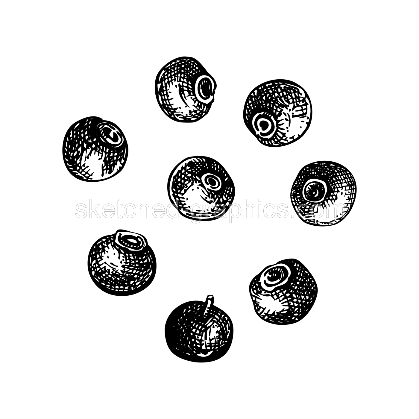 Allspice plant berries sketch. Kitchen spice drawing. Mexican herbs and spices hand-drawn vector illustration. NOT AI genereted Illustration