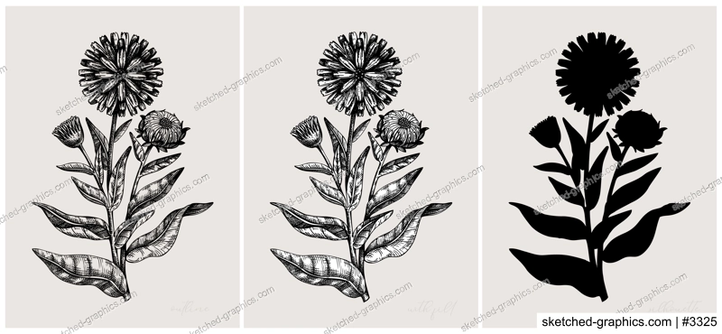 Collage style herbs vector illustration. Herbal plants and flowers sketches. Trendy floral design with botanical hand drawings. For print, poster, wall art, cards in vintage style. Calendula design