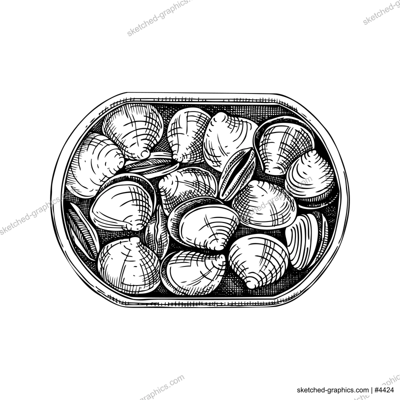 Canned clam shells in opened tin can illustration. Tinned seafood vector drawing. Hand drawn edible marine mollusks sketch isolated on vintage background. Shellfish for menu, recipes, logos, flyer