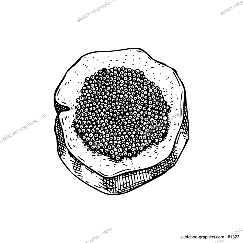 Hand-drawn sketch of caviar on a bread slice isolated on a white background. Black caviar canape vector drawing in engraved style. Seafood delicacy illustration for restaurant or finger food menu