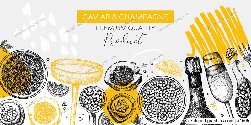 Caviar and champagne hand drawn illustrations collection. Hand drawn red caviar canape, canned black caviar, sparkling wine bottle, glasses sketches set. Seafood drawings isolated on white background