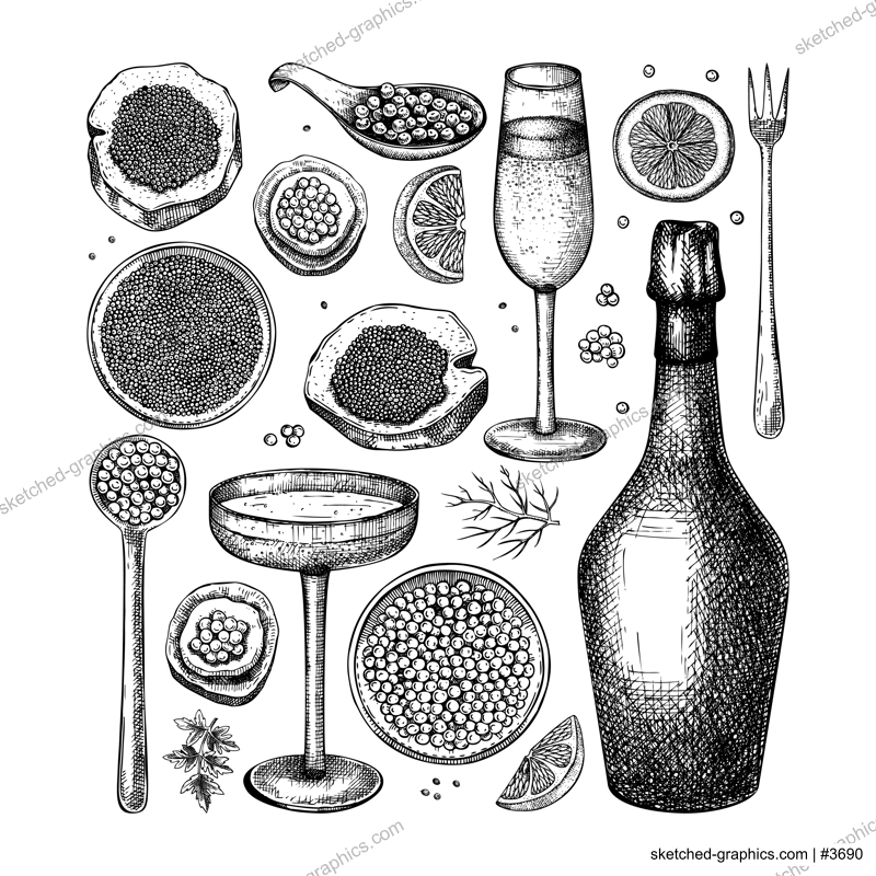 Caviar and champagne hand drawn illustrations collection. Hand drawn red caviar canape, canned black caviar, sparkling wine bottle, glasses sketches set. Seafood drawings isolated on white background