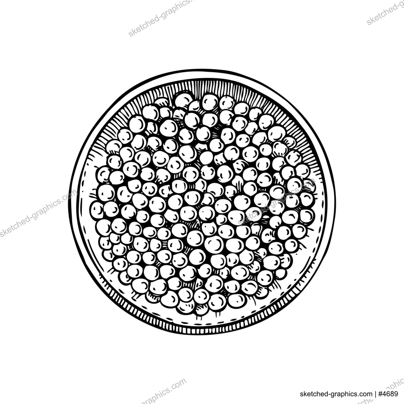 Hand-drawn sketch of canned caviar isolated on a white background. Red caviar in opened tin can vector drawing in engraved style. Seafood delicacy illustration for restaurant or finger food menu