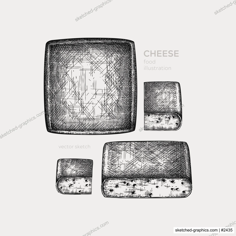 Cheese hand drawn illustration collection. Food design elements. Vector cheese sketches in engraved style. Dairy products drawings for menu, stores, banners, packaging design.