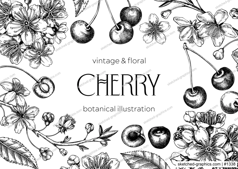 Berry fruit background. Cherry berries, leaves, flowers sketches. Cherry blossom hand-drawn vector illustration. Floral frame design. NOT AI genereted
