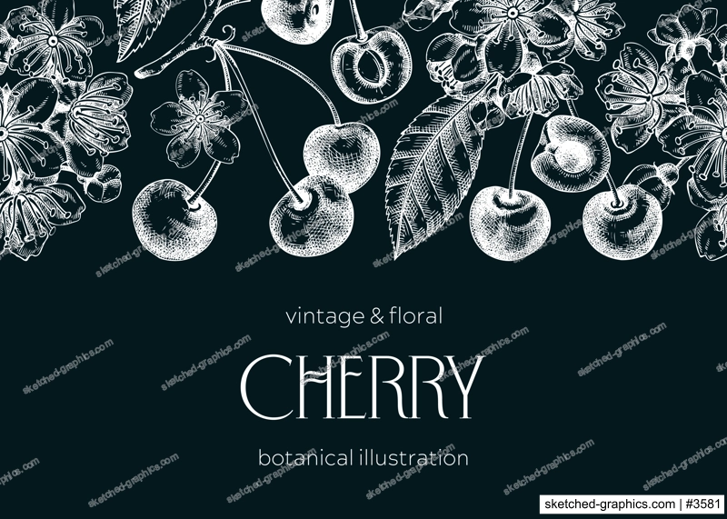 Berry fruit background. Cherry berries, leaves, flowers sketches on chalkboard. Cherry blossom hand-drawn vector illustration. Floral frame design. NOT AI genereted