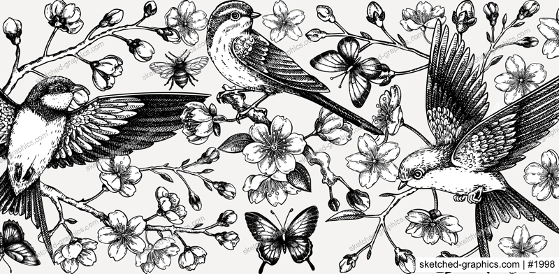 Hand drawn floral illustration for print. T-shirt design. Cherry blossom and flying bird sketch illustration. Vintage spring background. NOT AI generated