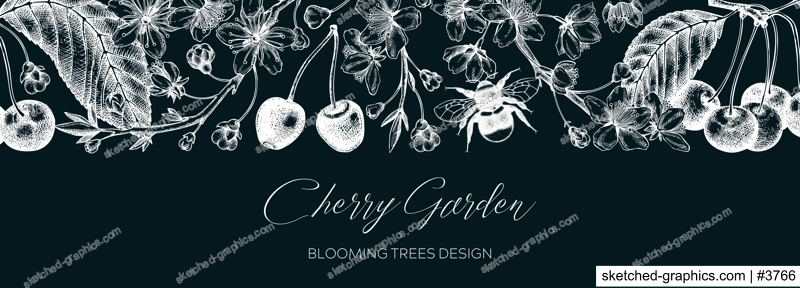 Spring background on chalkboard. Cherry blossom tree border in sketch style. Vector banner with hand drawn cherry berries, leaves, flowering branches illustrations. Vintage Sakura banner design