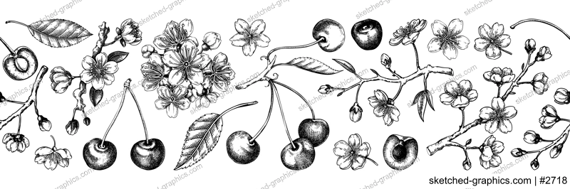 Spring border design. Cherry blossom seamless pattern, engraved style.Sakura flowers, berry fruit hand drawin vector illustrations. NOT AI generated