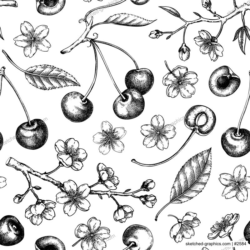 Cherry seamless pattern. Vintage spring background. Hand-drawn vector illustration. Sakura flowers in engraved style. NOT AI generated