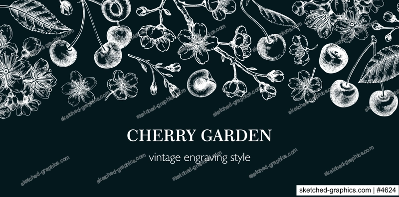 Summer background, engraved style. Cherry blossom, sakura flowers, berry fruit chalk drawings. NOT AI generated