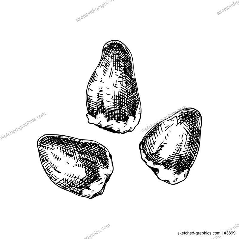 Hand drawn chicken hearts sketches set. Internal organs of poultry drawings. Healthy food vector Illustrations on a white background. Bird organ meat, offal, ingredients, butchery design elements.