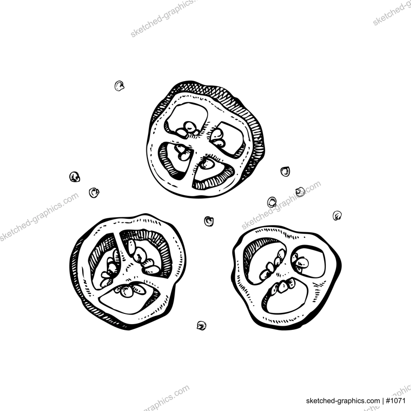 Chipotle sketches. Dried ripe jalapeno chili pepper slices with seeds. Hot spices, vegetarian, healthy food hand drawn vector illustration. Mexican cuisine menu design elements.