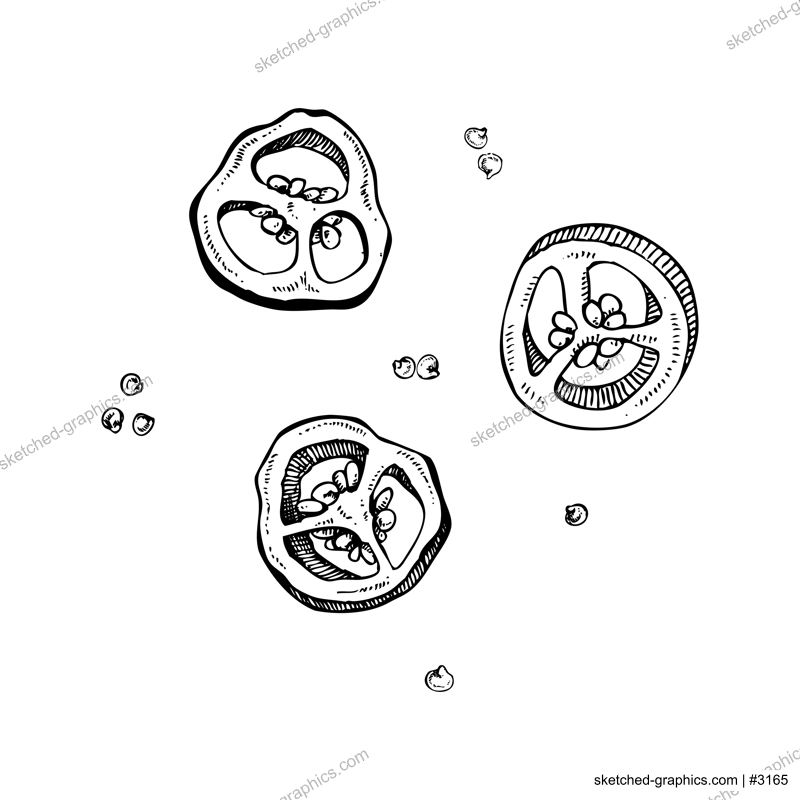 Chipotle sketches. Dried ripe jalapeno chili pepper slices with seeds. Hot spices, vegetarian, healthy food hand drawn vector illustration. Mexican cuisine menu design elements. 